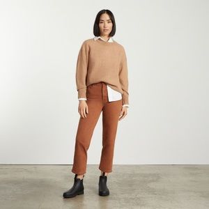 Everlane | The Way-High Jean | 27 Tall